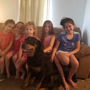 Meet your Posher, Tracy